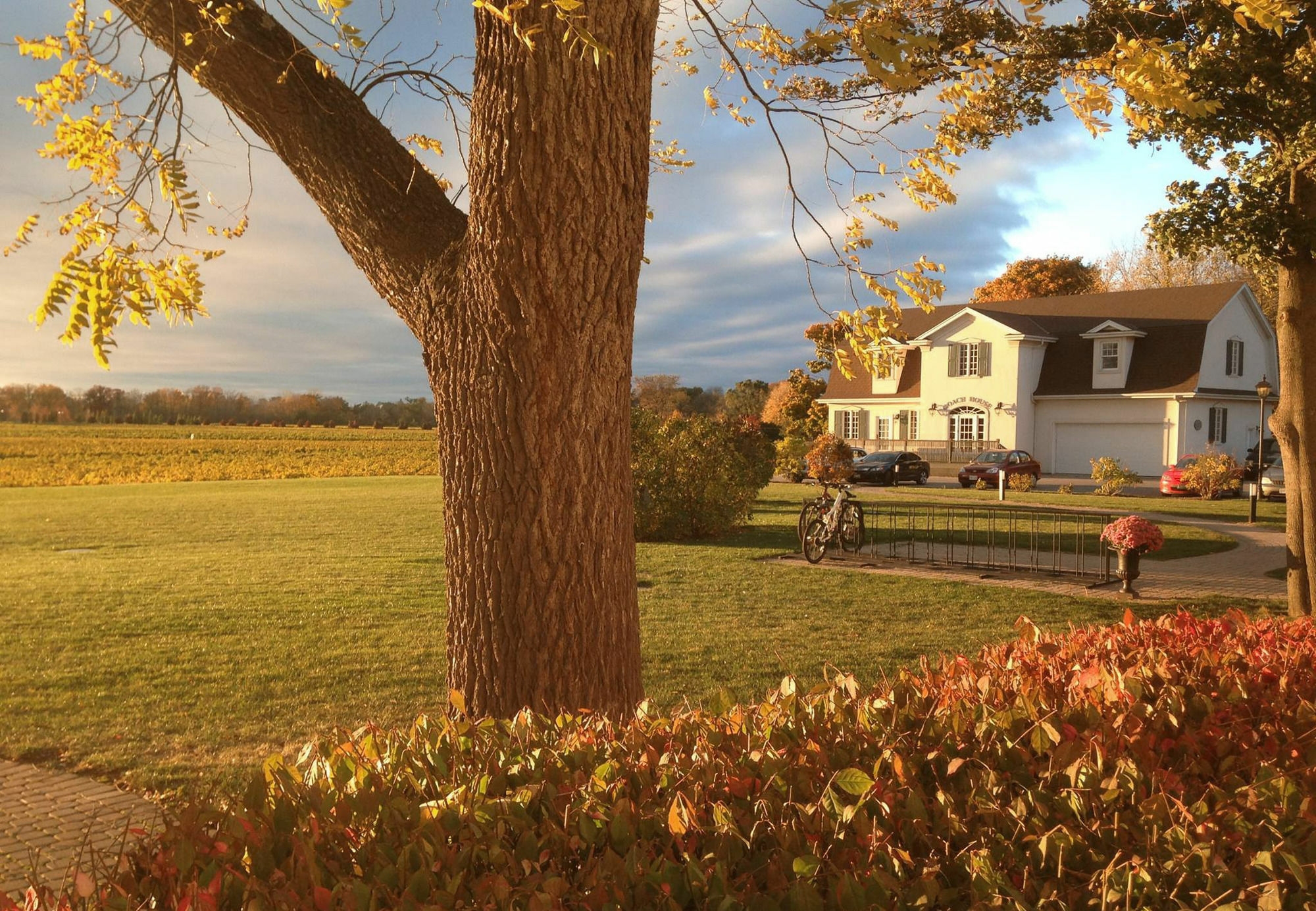 Riverbend Inn & Vineyard Niagara-on-the-Lake Buitenkant foto